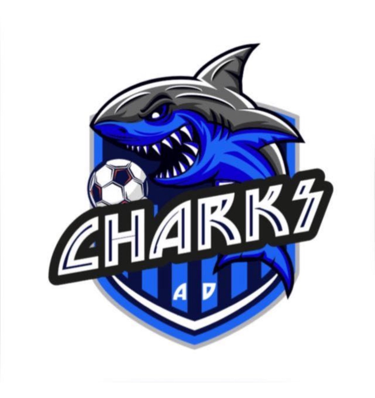 team-logo