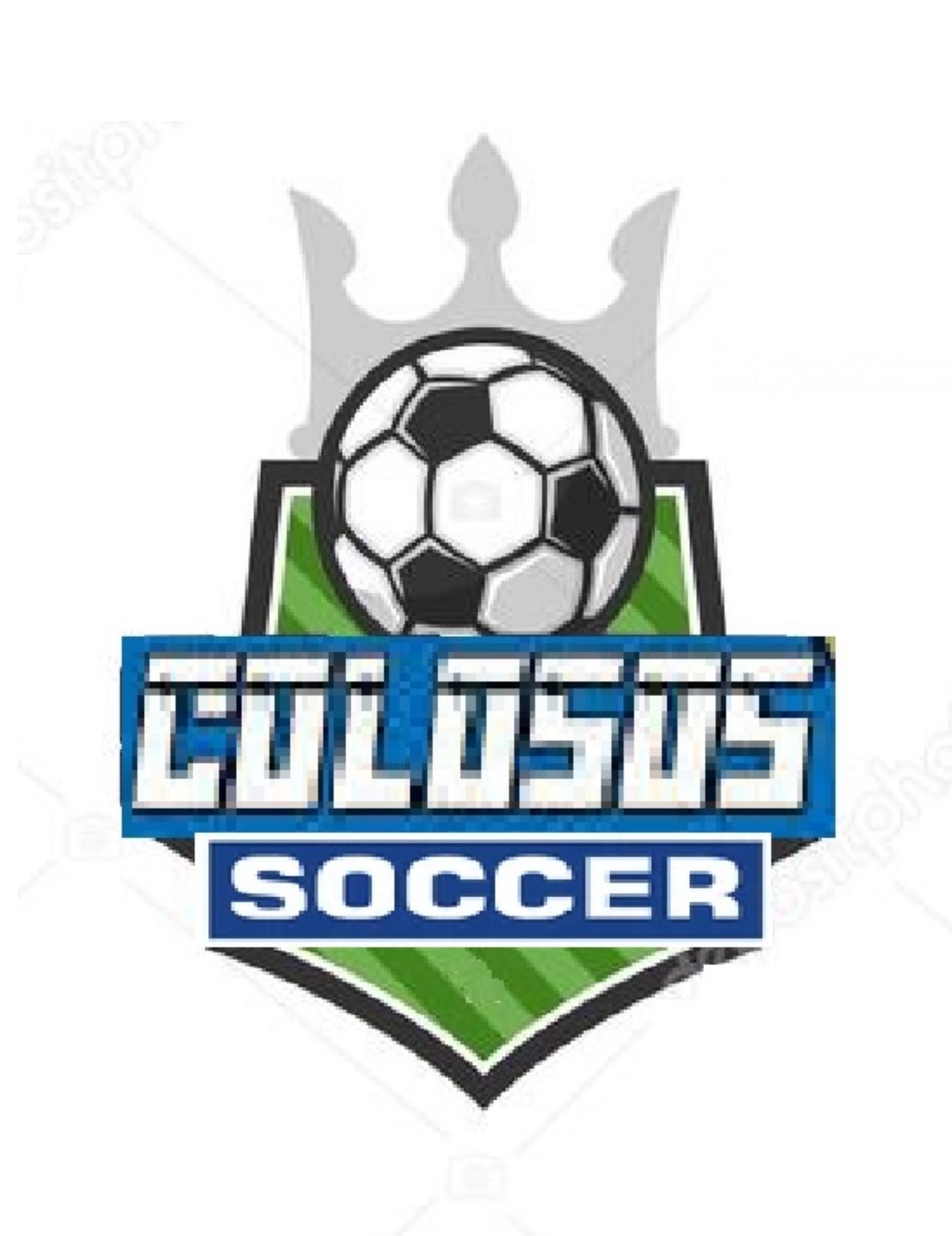 team-logo