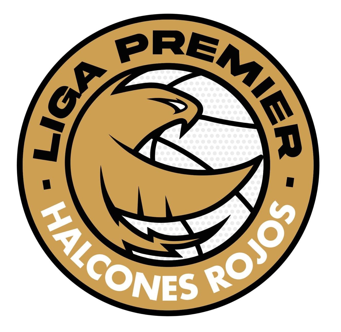 main-match-icon