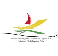 main-match-icon