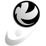 main-match-icon
