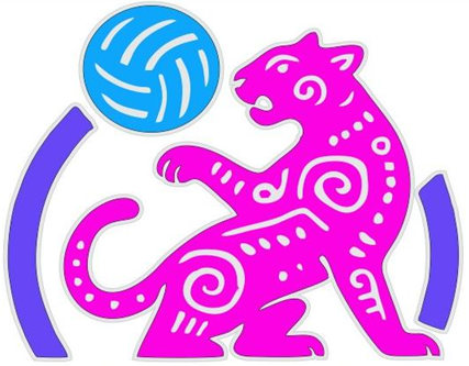 LigaMunicipalCuautitlan